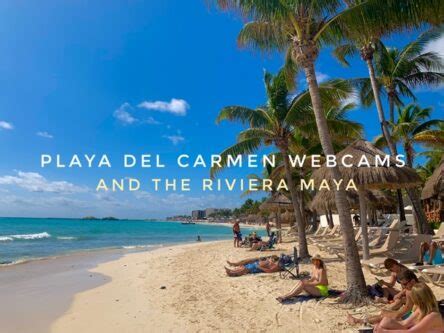 webcam riviera maya playa del carmen|All the Best Webcams in Playa Del Carmen and the。